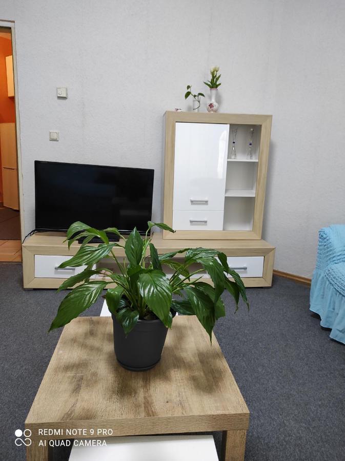 Apartamento Rose Vienna Malfatigasse Exterior foto